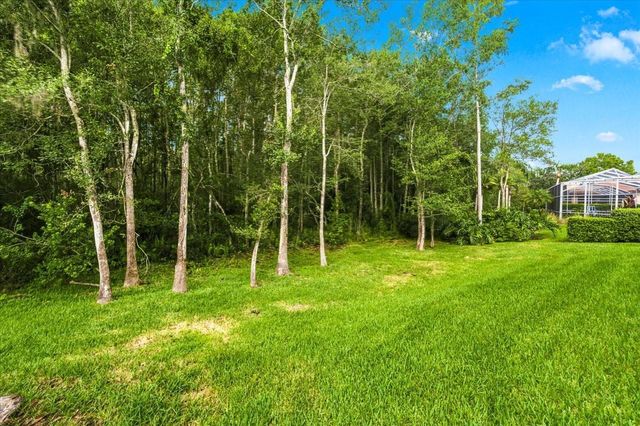 18918 SAINT LAURENT DRIVE, Lutz, FL 33558