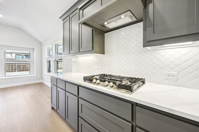 1317 Clear Fork Street, Aubrey, TX 76227