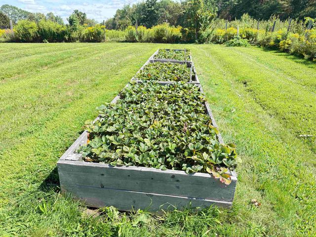 109 Old Center Road, Deerfield, NH 03037