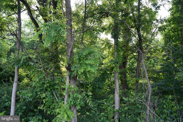 HAROLD DR, Martinsburg, WV 25403