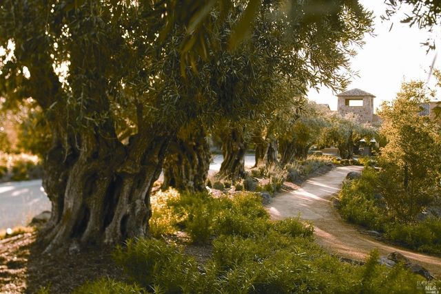 6444 Cottage Ridge Rd, Santa Rosa, CA 95403