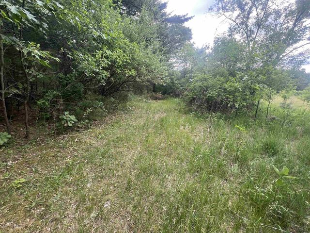 W13461 Cypress Avenue, Coloma, WI 54930