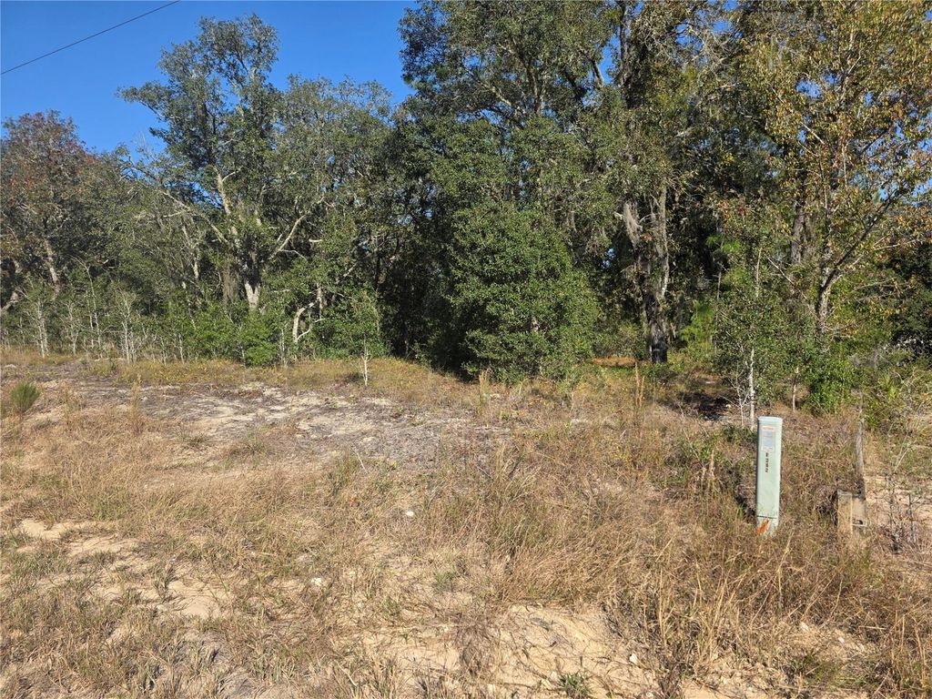 Lot 31 SW VIBURNUM ROAD, Dunnellon, FL 34431