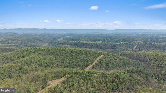 4101 SUPINLICK RIDGE RD, Mount Jackson, VA 22842