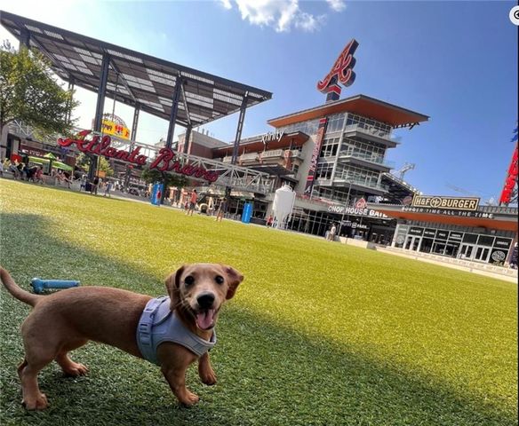 2801 Avington SE Lane Lot 61, Smyrna, GA 30080