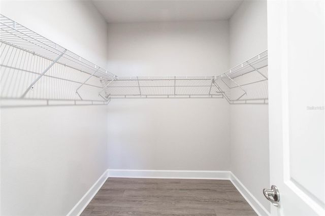 10179 GLIDING EAGLE WAY, Land O Lakes, FL 34638