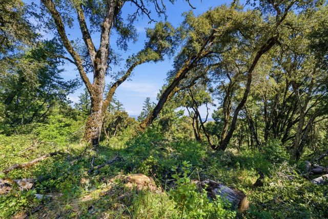 00000 Page Mill Road, Palo Alto, CA 94304