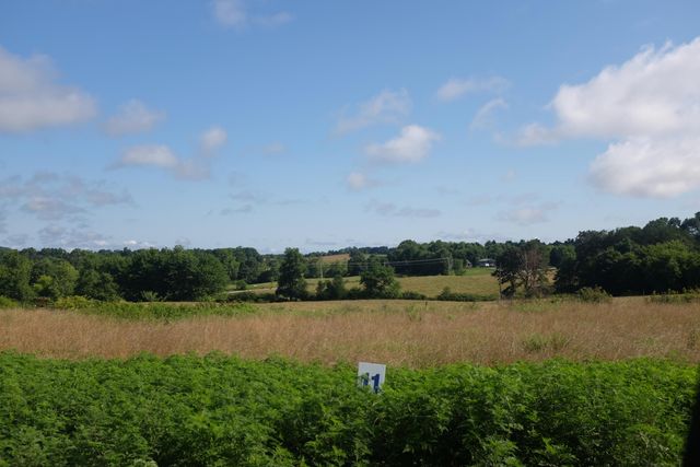 16 Turkey Loop, East Bernstadt, KY 40729