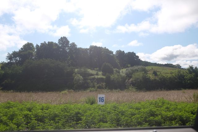 16 Turkey Loop, East Bernstadt, KY 40729