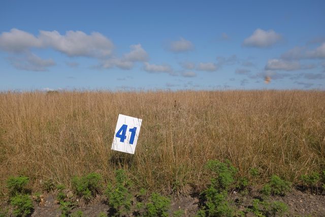 16 Turkey Loop, East Bernstadt, KY 40729