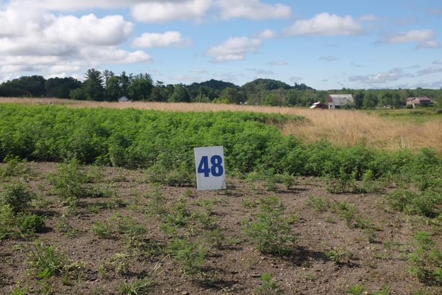 16 Turkey Loop, East Bernstadt, KY 40729