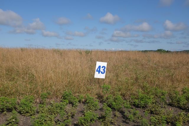 16 Turkey Loop, East Bernstadt, KY 40729