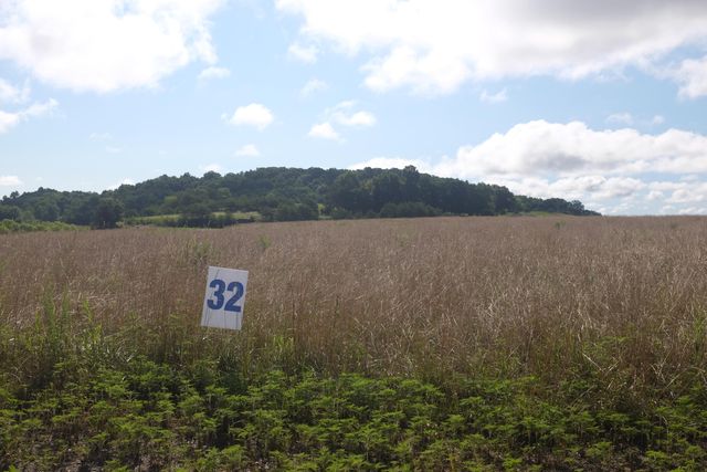 16 Turkey Loop, East Bernstadt, KY 40729