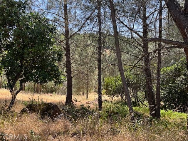 10353 Walnut Way, Kelseyville, CA 95451