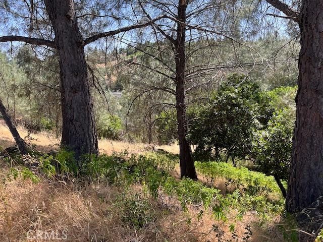 10353 Walnut Way, Kelseyville, CA 95451