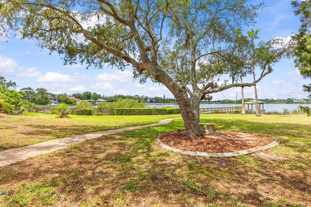 948 RIVERSIDE RIDGE ROAD, Tarpon Springs, FL 34688
