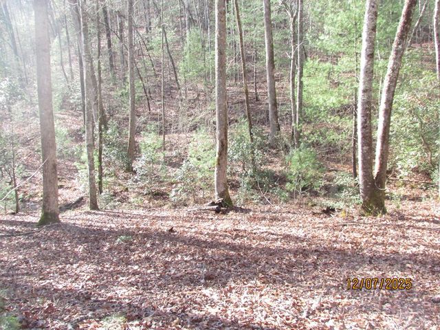 175 Broadtree Branch Drive, Hayesville, NC 28904