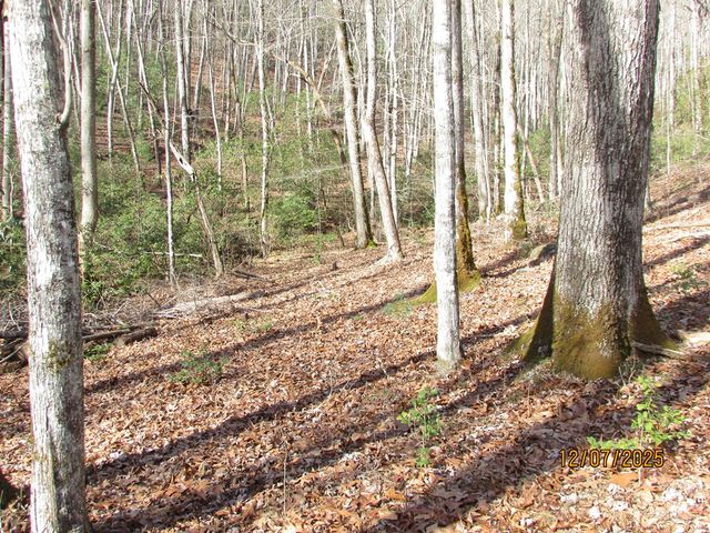 175 Broadtree Branch Drive, Hayesville, NC 28904