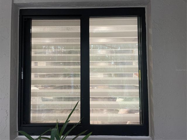 20921 HAULOVER COVE 11, Lutz, FL 33558