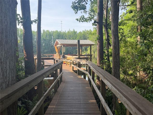 20921 HAULOVER COVE 11, Lutz, FL 33558