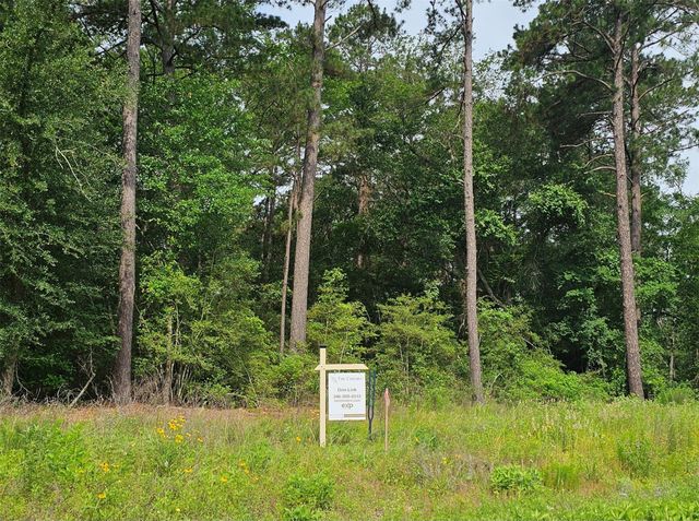 9164 Cedar Bend, Plantersville, TX 77363