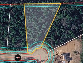 9164 Cedar Bend, Plantersville, TX 77363