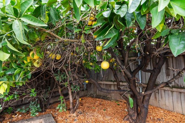 725 Jo Ann Ln, Roseville, CA 95678