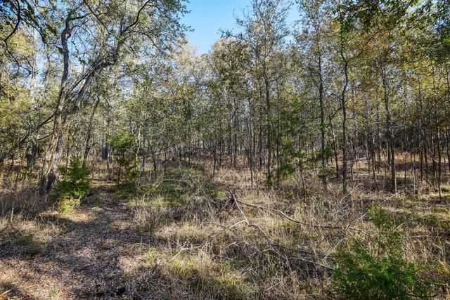 183 Clover RD, Cedar Creek, TX 78612