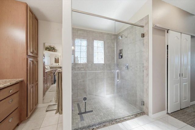 15212 ARBOR HOLLOW DRIVE, Odessa, FL 33556