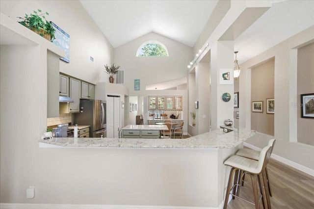 15212 ARBOR HOLLOW DRIVE, Odessa, FL 33556