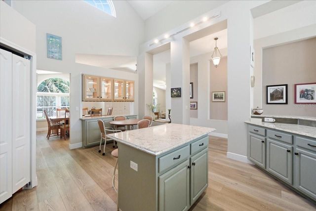 15212 ARBOR HOLLOW DRIVE, Odessa, FL 33556