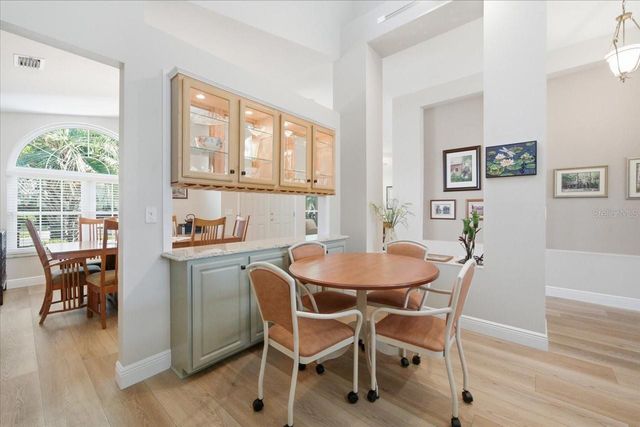 15212 ARBOR HOLLOW DRIVE, Odessa, FL 33556