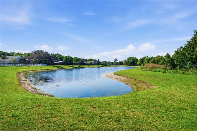 15212 ARBOR HOLLOW DRIVE, Odessa, FL 33556