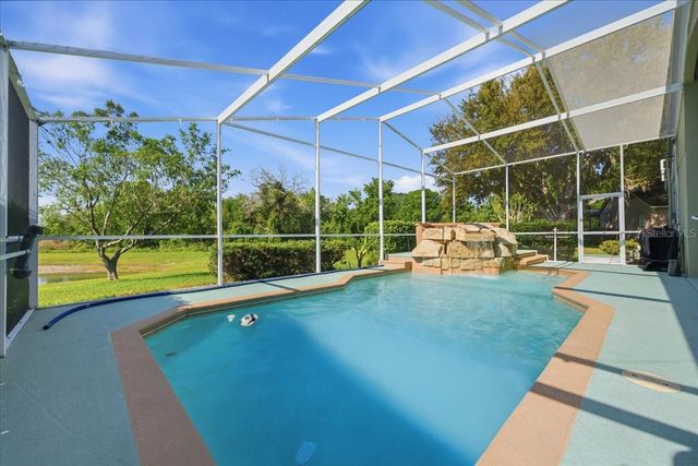 15212 ARBOR HOLLOW DRIVE, Odessa, FL 33556