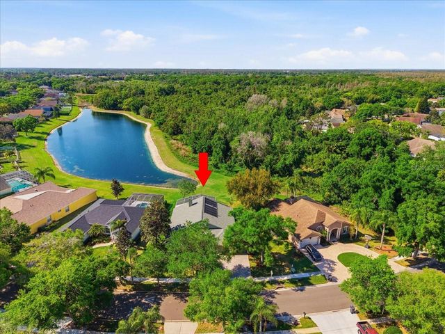 15212 ARBOR HOLLOW DRIVE, Odessa, FL 33556