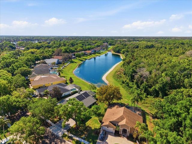 15212 ARBOR HOLLOW DRIVE, Odessa, FL 33556