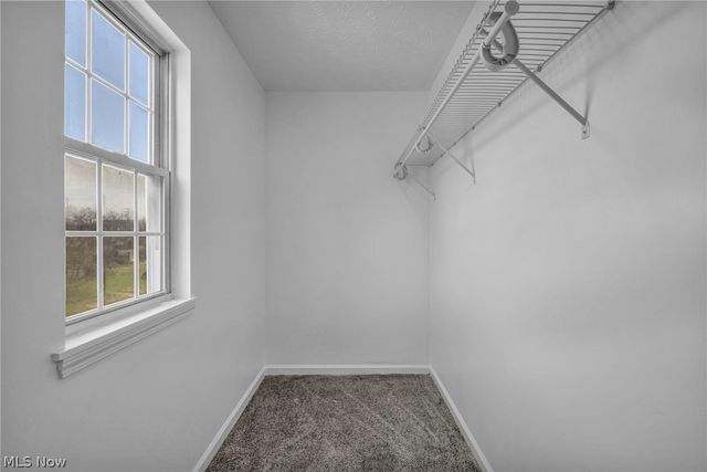 10870 Mount Overlook Avenue, Cleveland, OH 44104