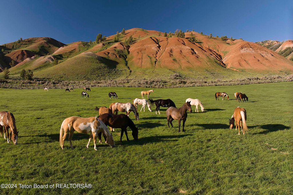 15400 GROS VENTRE Road, Kelly, WY 83011 photo 22