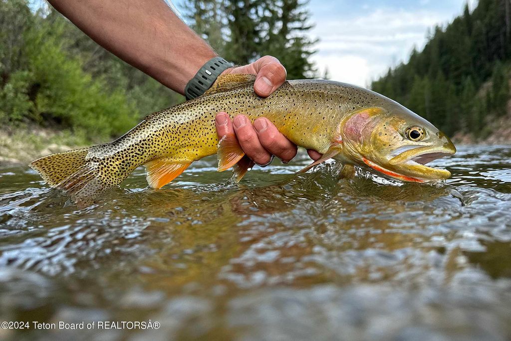15400 GROS VENTRE Road, Kelly, WY 83011 photo 40