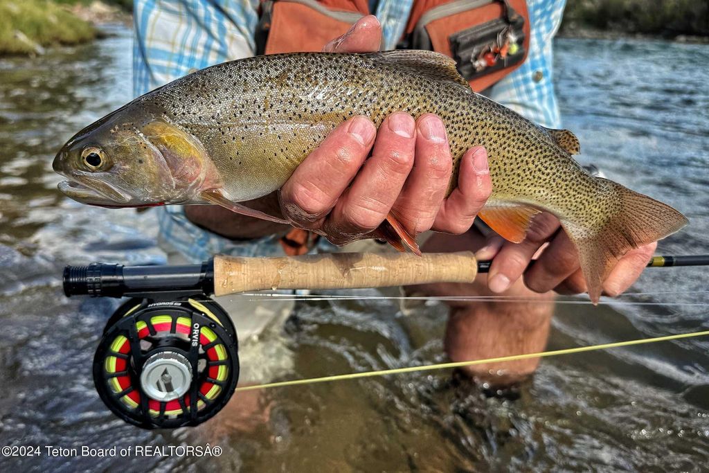 15400 GROS VENTRE Road, Kelly, WY 83011 photo 58