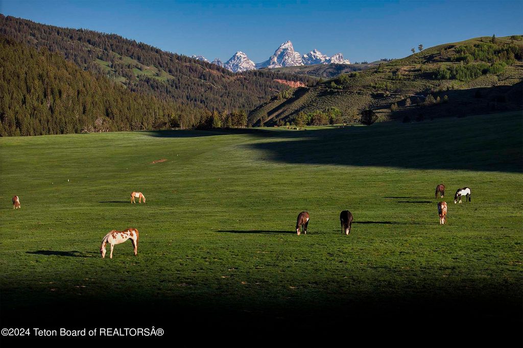 15400 GROS VENTRE Road, Kelly, WY 83011 photo 61