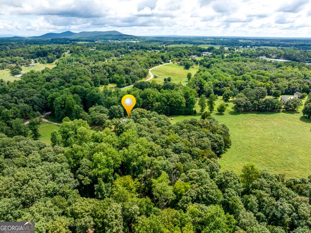 6223 Hulsey Road, Clermont, GA 30527
