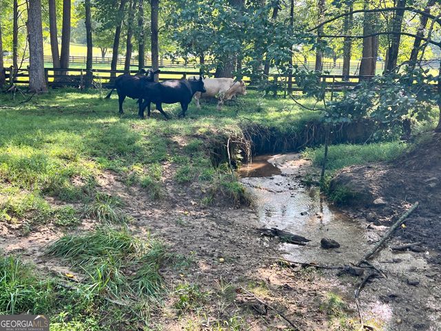 6223 Hulsey Road, Clermont, GA 30527