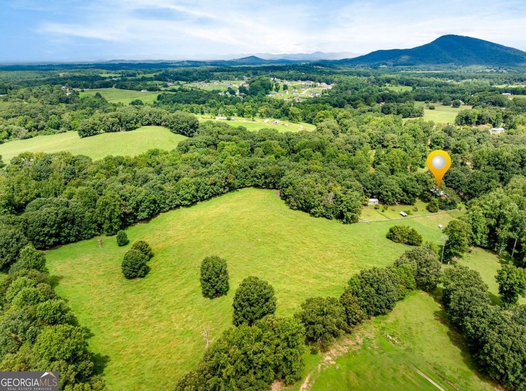 6223 Hulsey Road, Clermont, GA 30527