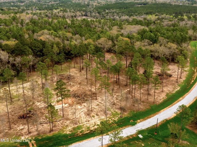 Lot 13 Pine Ridge Lane, Lucedale, MS 39452