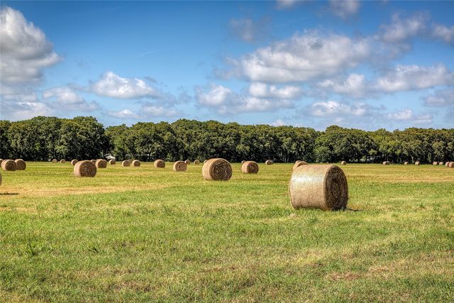 Lot 2 County Road 120, Wills Point, TX 75169