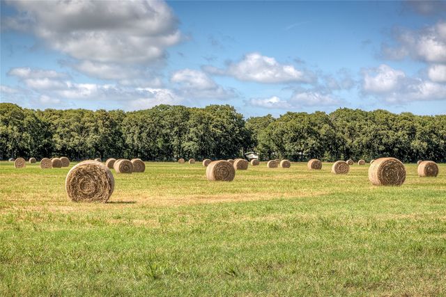 Lot 2 County Road 120, Wills Point, TX 75169