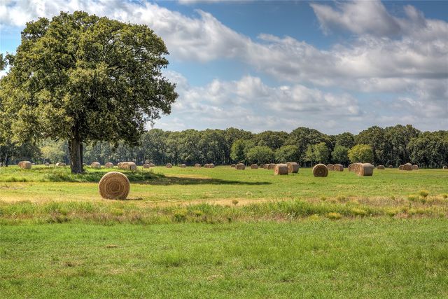 Lot 2 County Road 120, Wills Point, TX 75169