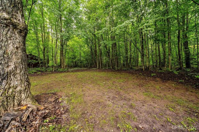 N3443 16 Mile Lake Road, Munising, MI 49862