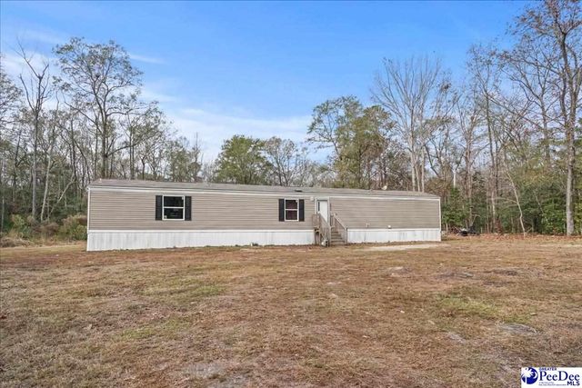 6909 Candy Buck Ln, Effingham, SC 29541